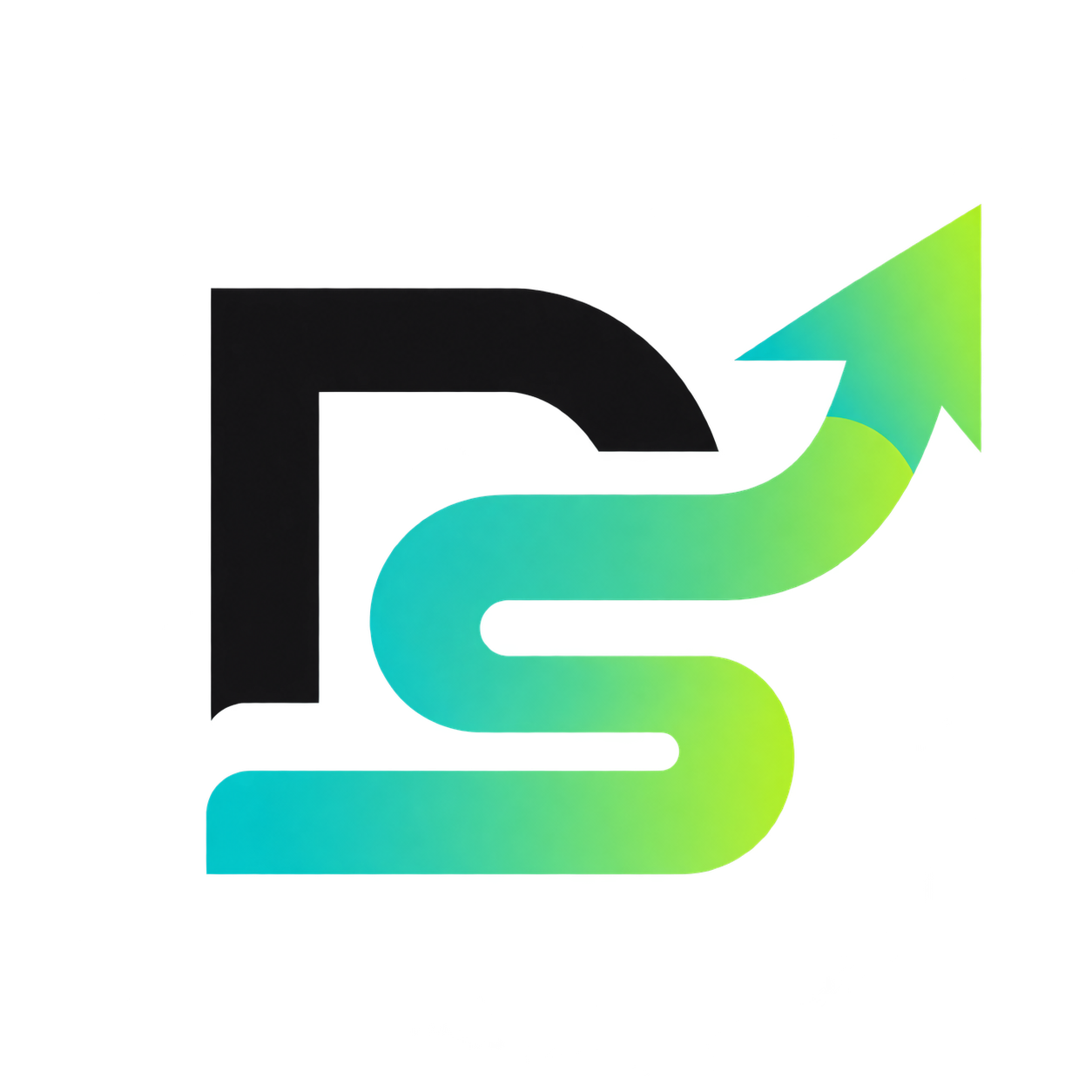 DS-LOGO